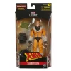Hasbro Marvel Legends Series X-Men 6-inch Sabretooth Action Figure 6-Inch Collectible Toy
