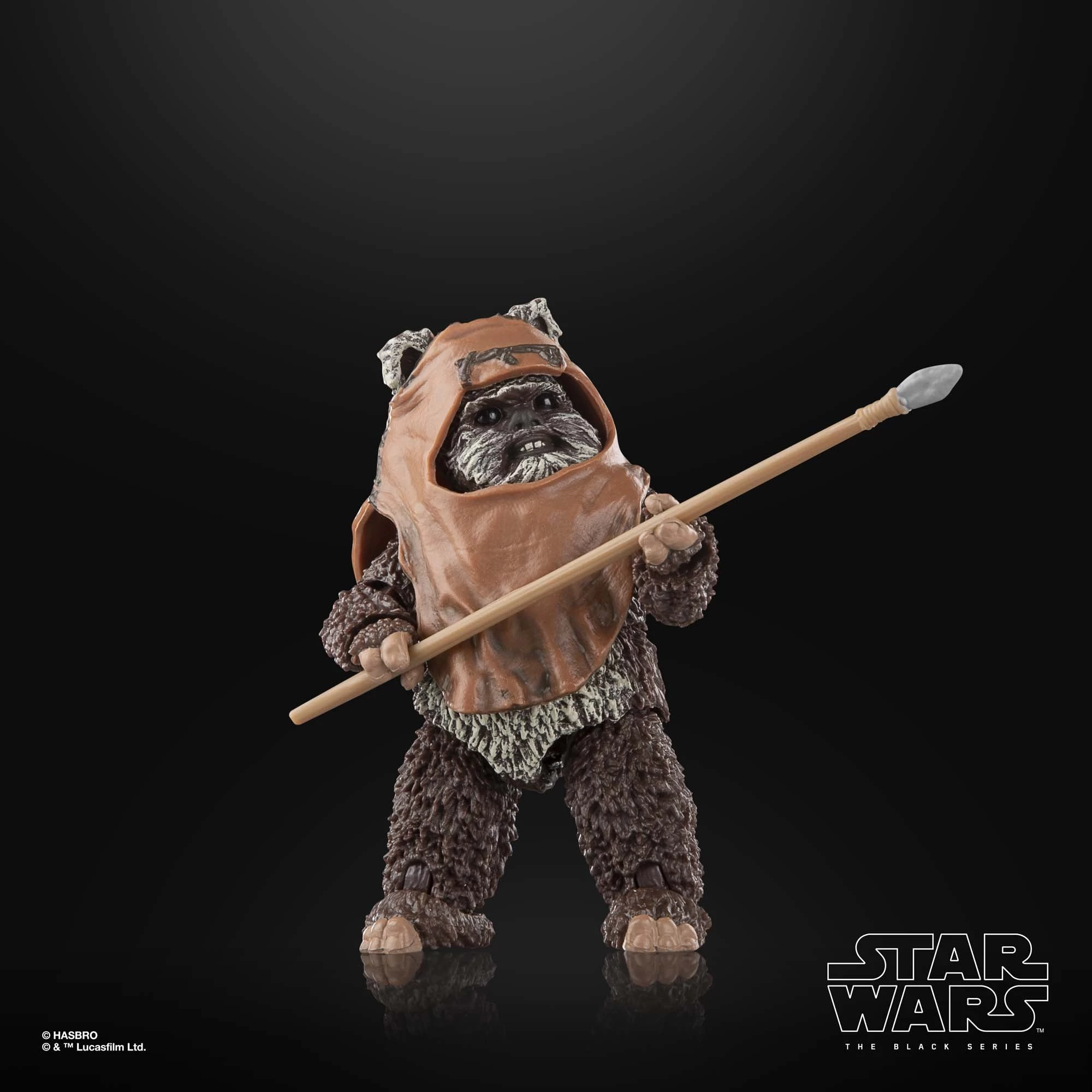 Hasbro Star Wars Black Series Wicket W. Warrick 7 Hasbro Star Wars Black Series Wicket W. Warrick - Image 7