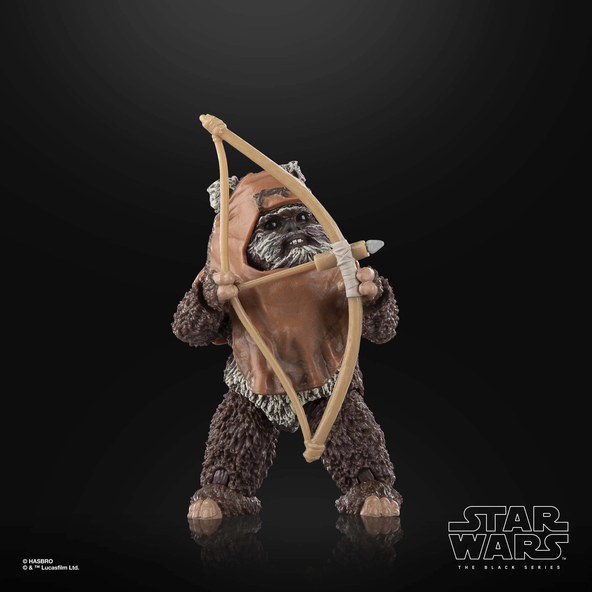 Hasbro Star Wars Black Series Wicket W. Warrick 2 Hasbro Star Wars Black Series Wicket W. Warrick - Image 2