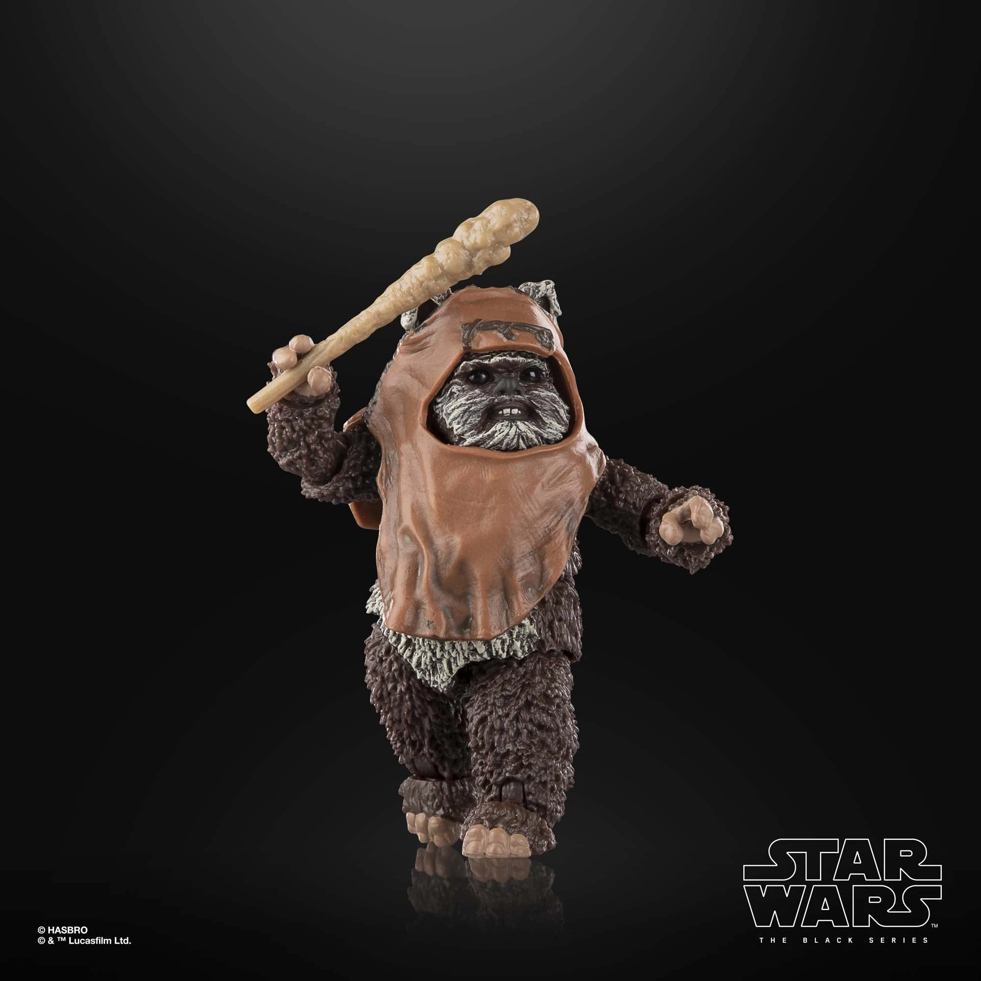 Hasbro Star Wars Black Series Wicket W. Warrick 8 Hasbro Star Wars Black Series Wicket W. Warrick - Image 8