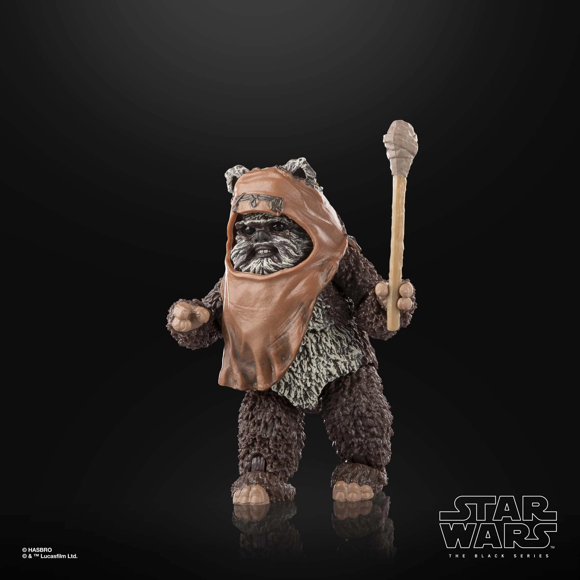 Hasbro Star Wars Black Series Wicket W. Warrick 9 Hasbro Star Wars Black Series Wicket W. Warrick - Image 9