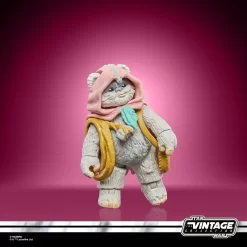 Hasbro Star Wars The Vintage Collection Wicket & Kneesaa (Ewoks Cartoon) -Hasbro Toys World F8300 PROD SW TVC CLOUDY PACK 063 Online 2000SQ