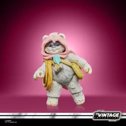 Hasbro Star Wars The Vintage Collection Wicket & Kneesaa (Ewoks Cartoon) -Hasbro Toys World F8300 PROD SW TVC CLOUDY PACK 066 Online 2000SQ